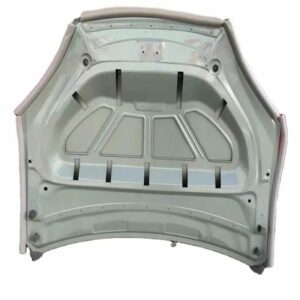 1069531-E0-C Hood - Suitable for Tesla Model X