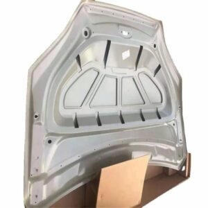 1069531-E0-C Hood - Suitable for Tesla Model X