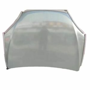 1069531-E0-C Hood - Suitable for Tesla Model X