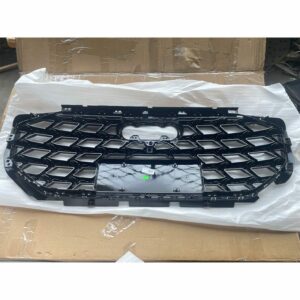 4CG 853 651B IXG, 4CG 853 651C IXG, 4CG 853 651A IXF Grille - Suitable for Audi Q6 - JLL Auto Parts