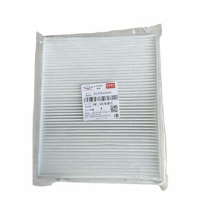 301000265AA PM2.5 High-Efficiency Filter for Chery Exeed - JLL Auto Parts