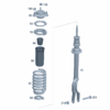 A2943206501 Shock Absorber Strut, Left Front For Mercedes-Benz EQE - JLL Auto Parts